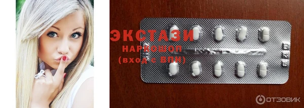 ECSTASY Ельня
