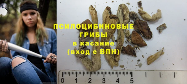 эйфоретик Елизово