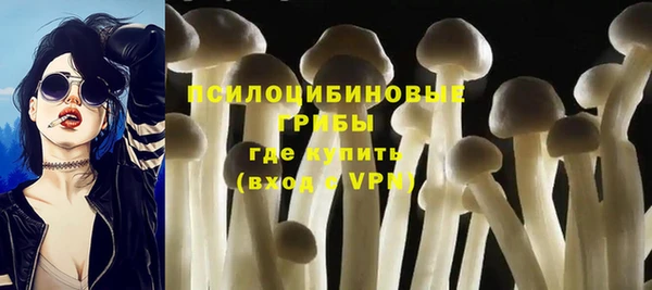 ECSTASY Ельня