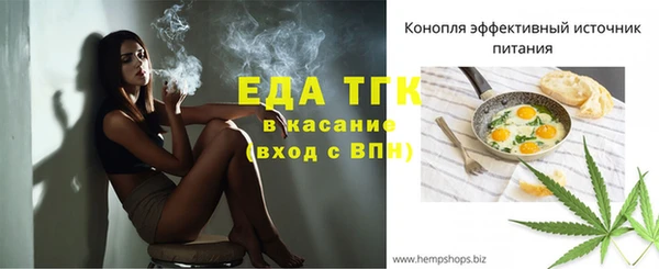 ECSTASY Ельня