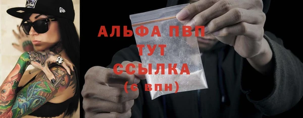 ECSTASY Ельня