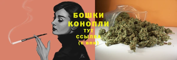 ECSTASY Ельня