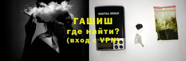 ECSTASY Ельня