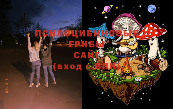 эйфоретик Елизово