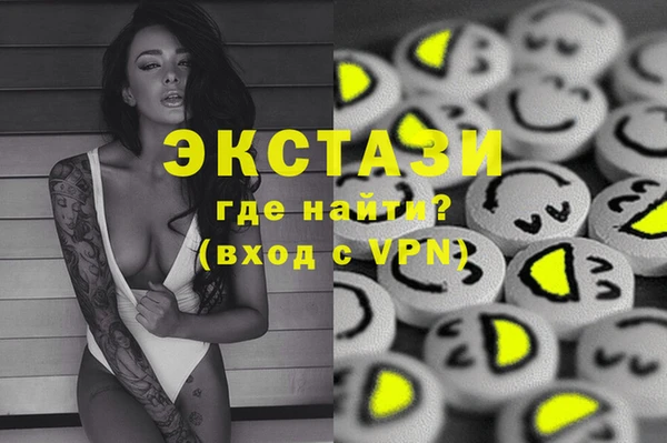 ECSTASY Ельня