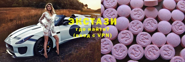 ECSTASY Ельня