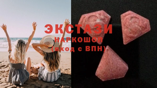 ECSTASY Ельня