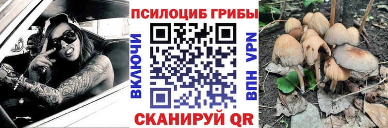 Купить  Лянтор  Псилоцибиновые грибы MAGIC MUSHROOMS 