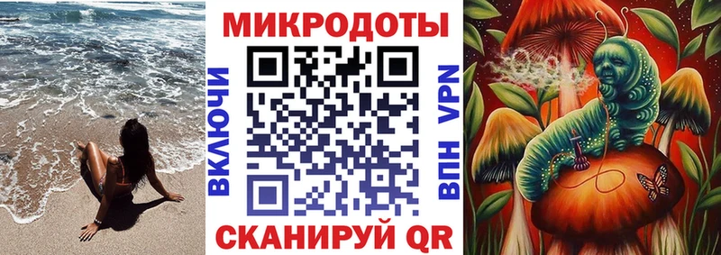 Галлюциногенные грибы Psilocybe Лянтор